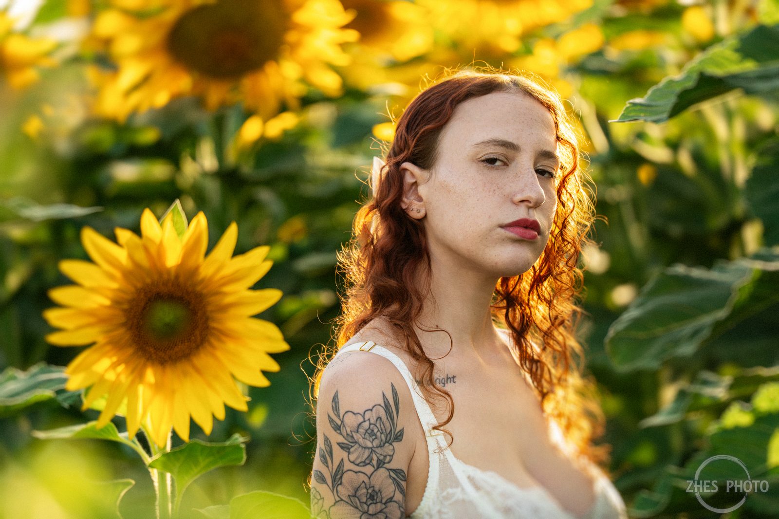 Sunflowers sunset by @zhesphoto