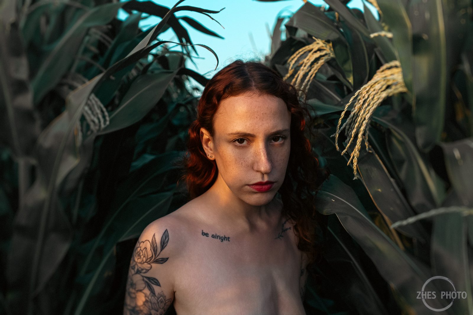 Cornfield by @zhesphoto